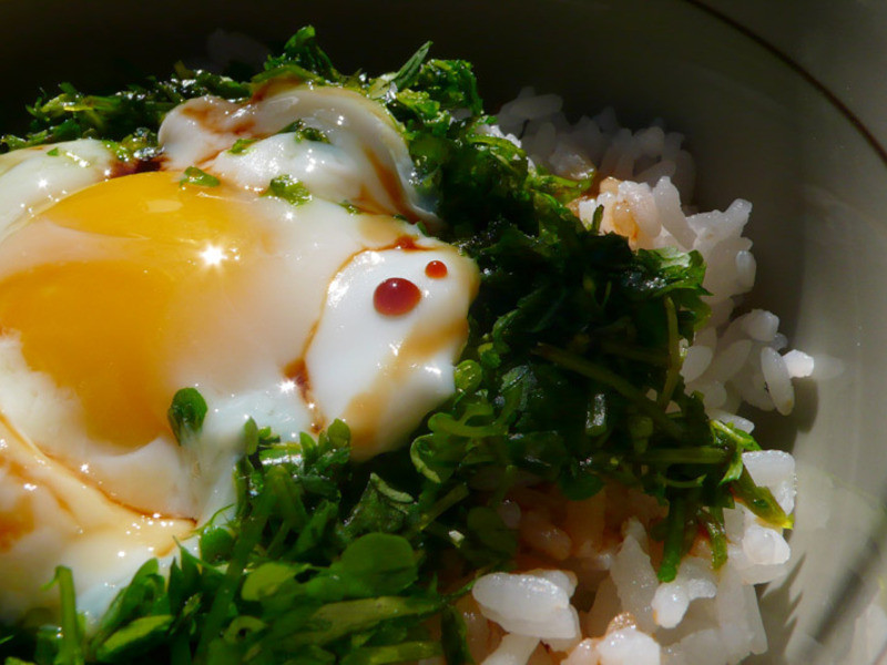 【擺浪饕餮】是芥末日～細葉碎米薺雞蛋飯